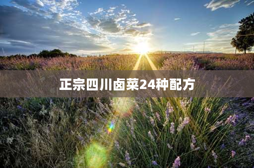 正宗四川卤菜24种配方 温江最正宗的万春卤菜配方？