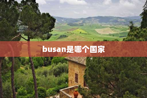 busan是哪个国家 釜山88小番茄产地哪里？