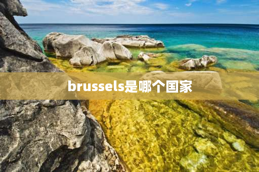 brussels是哪个国家 比利时属于欧盟吗？