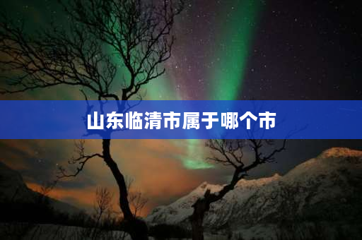 山东临清市属于哪个市 聊城离哪个省近？