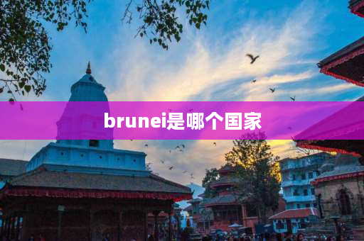 brunei是哪个国家 文莱国家代码？