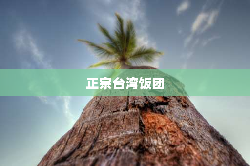 正宗台湾饭团 我想知道正宗台湾饭团怎么做？需要哪些配料？