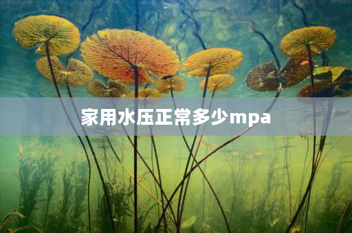 家用水压正常多少mpa 家庭正常水压换算多少升？