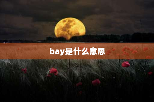 bay是什么意思 bay词源？