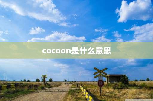 cocoon是什么意思 miss cocoon与cocoon的区别？