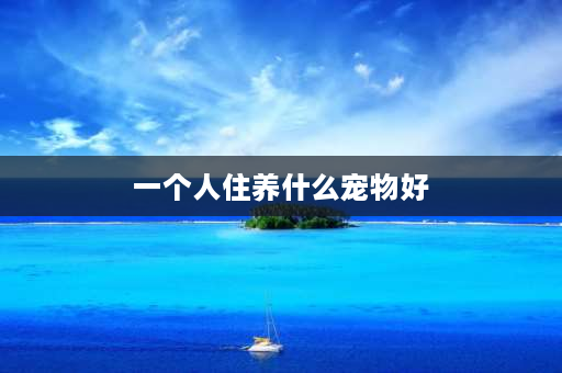 一个人住养什么宠物好 除了狗还有什么适合普通人养的又通人性的动物？