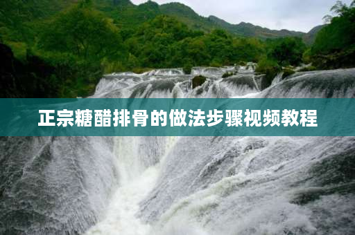 正宗糖醋排骨的做法步骤视频教程 糖醋排骨状元哥的做法？