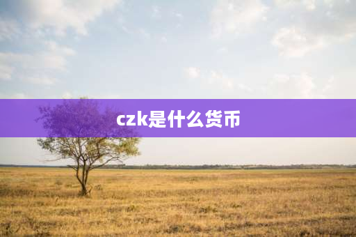 czk是什么货币 各国货币字母符号缩写？