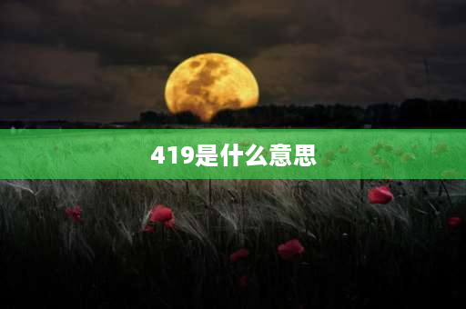 419是什么意思 419是指什么？