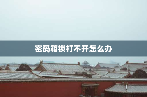 密码箱锁打不开怎么办 密码箱锁住了怎么办？