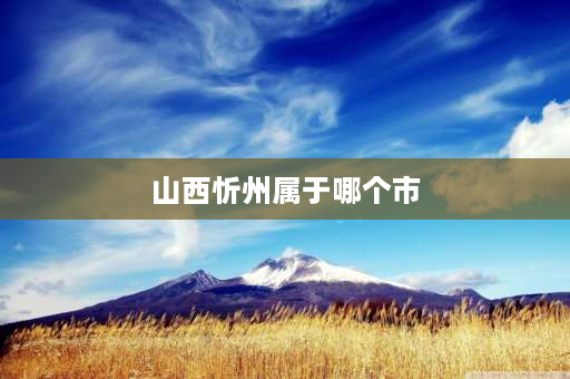 山西忻州属于哪个市 山西省忻州市属于哪个市管？