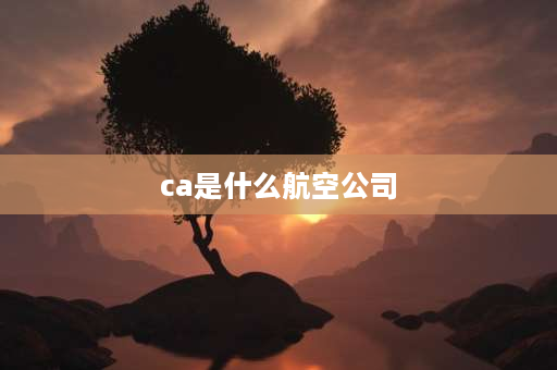 ca是什么航空公司 ca什么飞机？