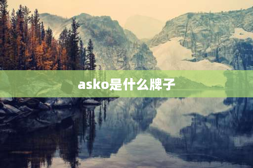 asko是什么牌子 asko与miele哪个好？