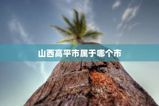 山西高平市属于哪个市 山西省高平有几个镇？