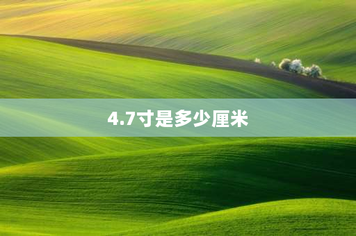 4.7寸是多少厘米 4.7寸手机长宽多少厘米？