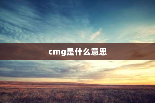 cmg是什么意思 cmg13什么意思？