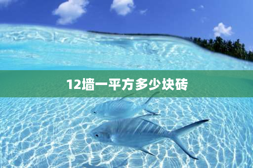 12墙一平方多少块砖 1米12墙多少块砖？