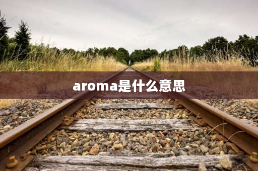 aroma是什么意思 芳字的意思？