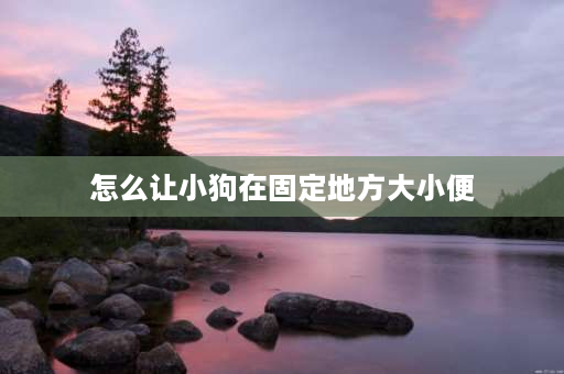 怎么让小狗在固定地方大小便 怎么让狗在固定地方拉屎？