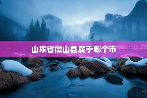 山东省微山县属于哪个市 山东微山属于枣庄市吗？