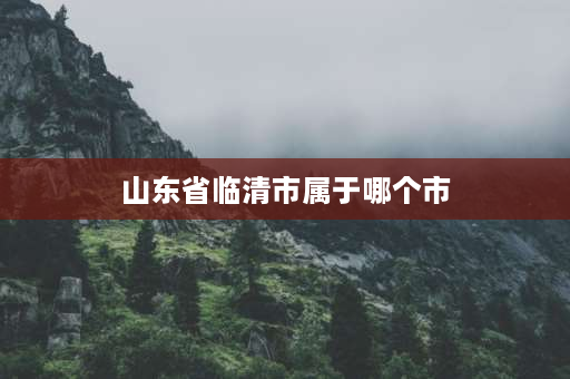 山东省临清市属于哪个市 山东临清县属于山东哪个地级市呀？