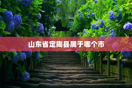 山东省定陶县属于哪个市 2021年菏泽市定陶区有几个镇？