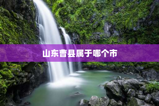 山东曹县属于哪个市 曹县是山东省哪个市的？