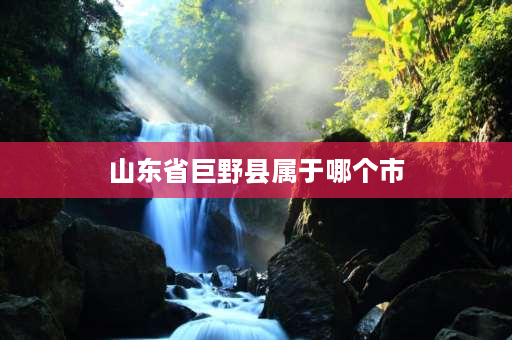 山东省巨野县属于哪个市 山东省巨野县城区有几所好的中学？