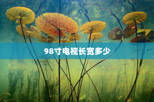 98寸电视长宽多少 海信98寸电视长宽高是多少？