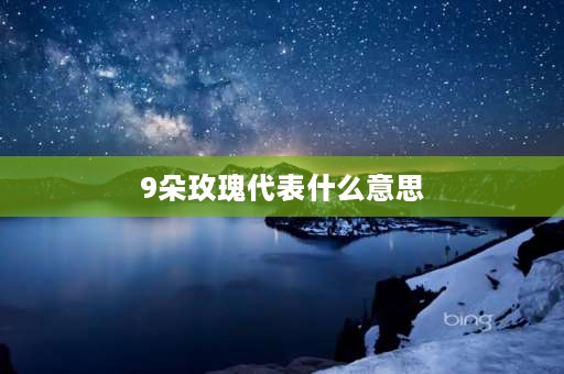 9朵玫瑰代表什么意思 9多粉玫瑰什么意思啊？