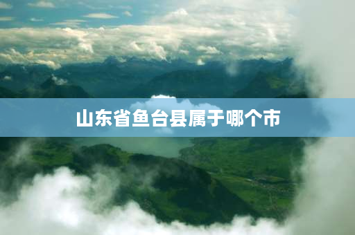 山东省鱼台县属于哪个市 山东微山属于枣庄市吗？