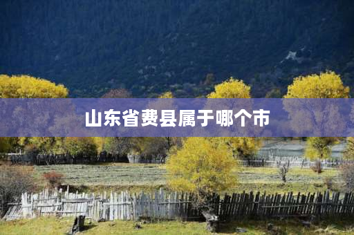 山东省费县属于哪个市 江西费县介绍？