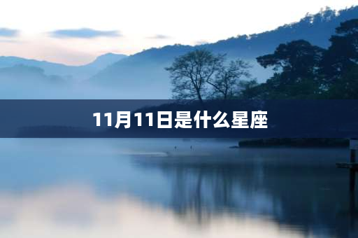 11月11日是什么星座 11月11号什么星座女？