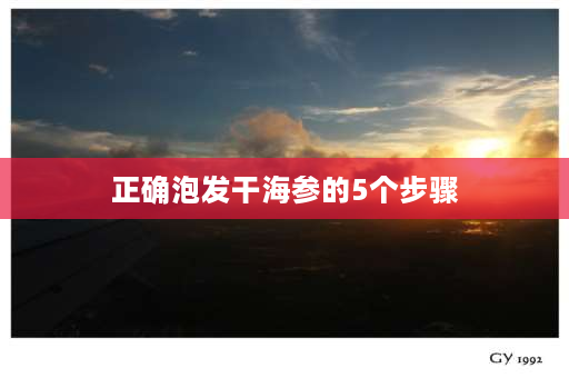 正确泡发干海参的5个步骤 怎么泡发干海参最佳方法？