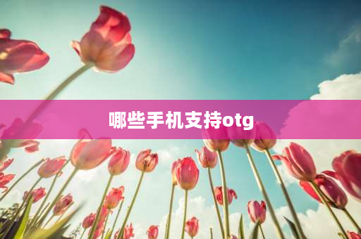 哪些手机支持otg 有哪些手机支持OTG功能的？