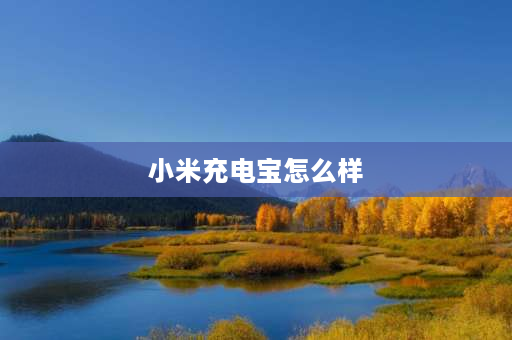 小米充电宝怎么样 小米移动电源30000毫安测评？