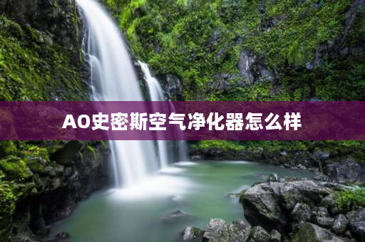 AO史密斯空气净化器怎么样 iam和史密斯的空气净化器哪个好？