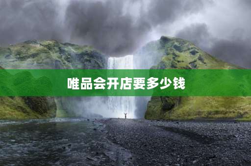 唯品会开店要多少钱 唯品会入驻保证金多少？