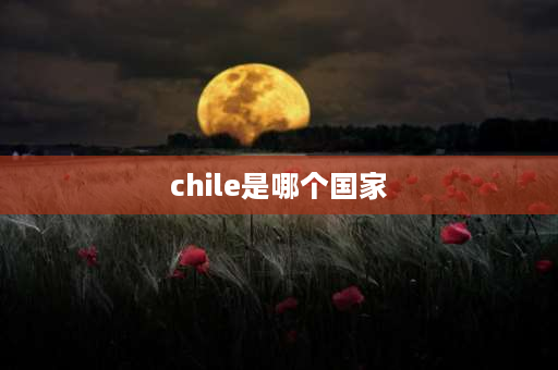 chile是哪个国家 智利是地名吗？