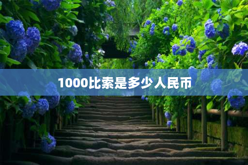 1000比索是多少人民币 1000比索在当地能买什么？