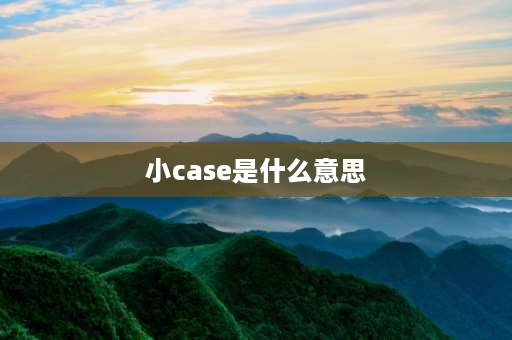 小case是什么意思 请问make a case是什么意思？