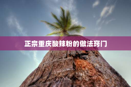 正宗重庆酸辣粉的做法窍门 重庆酸辣粉正宗做法摆地摊？