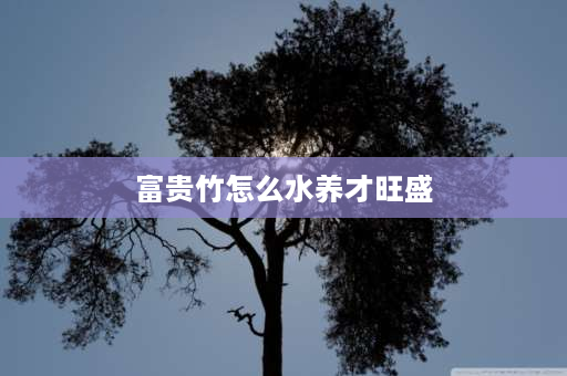 富贵竹怎么水养才旺盛 水养富贵竹怎么养才能更旺盛？