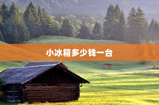 小冰箱多少钱一台 海尔冰箱大概多少钱一台？