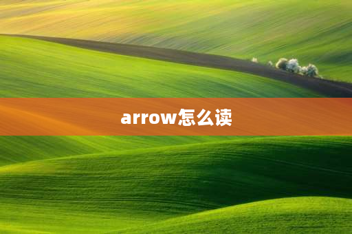 arrow怎么读 知字左半边读什么？