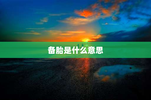 备胎是什么意思 备胎是什么意思？