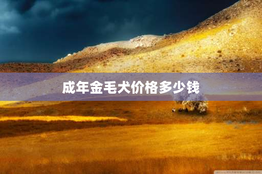 成年金毛犬价格多少钱 成年金毛体重是多少正常？