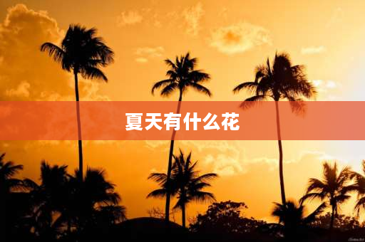 夏天有什么花 夏天有哪些花卉开放？