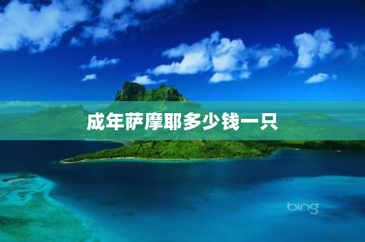 成年萨摩耶多少钱一只 成年萨摩耶体重多少范围正常？