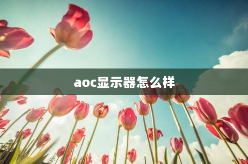 aoc显示器怎么样 AOC的电脑显示器怎样？